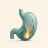 Refluxora app icon